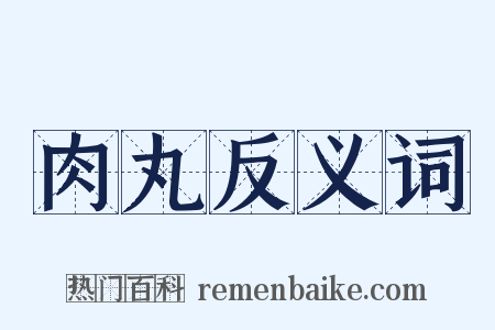 肉丸反义词是什么意思的图片